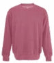 Bayfield Souvenir Maple Leaf Icon Embroidered Crew Neck