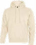 Bayfield Souvenir Maple Leaf Icon Hoodie